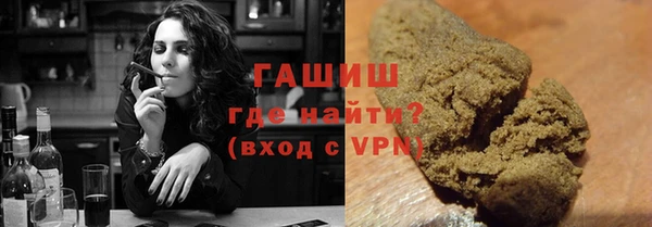 шишки Инта