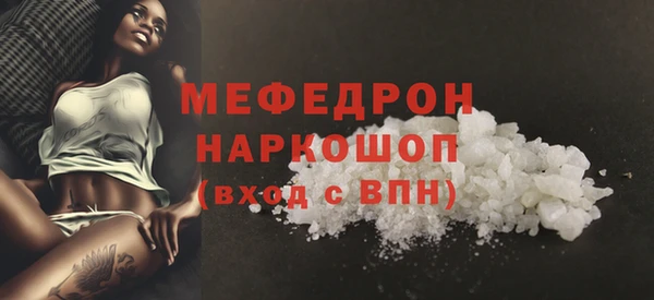 шишки Инта