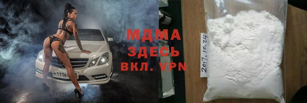 шишки Инта