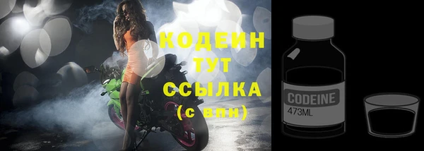 шишки Инта