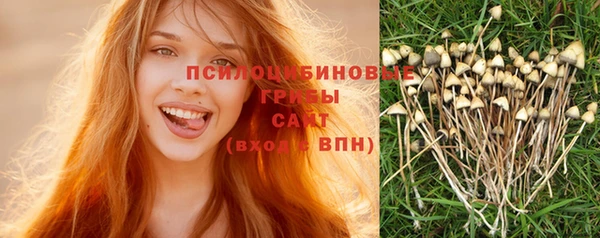 гидра Барнаул