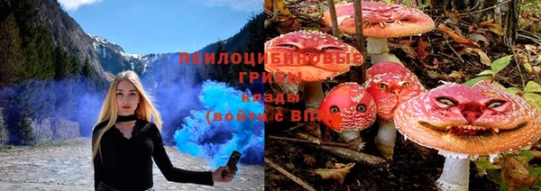 дурь Каменногорск