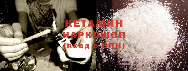 шишки Инта
