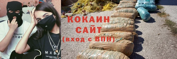 шишки Инта