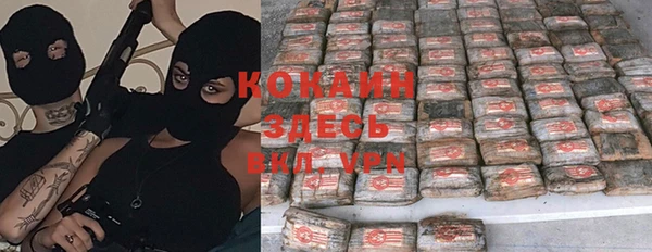 дурь Каменногорск