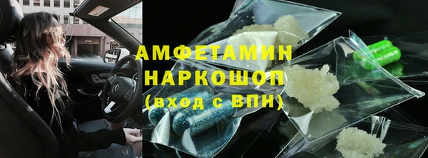 шишки Инта