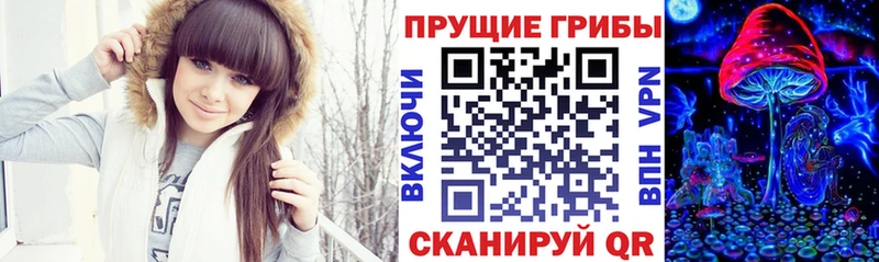 Псилоцибиновые грибы Psilocybe  Светлый 